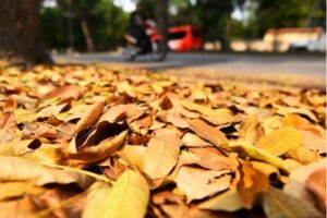 Thiết kế không tên 31